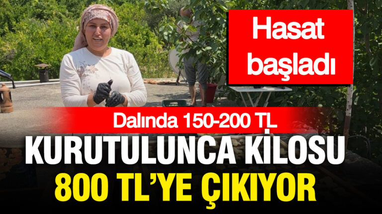 haber-gorseli-1786463501340