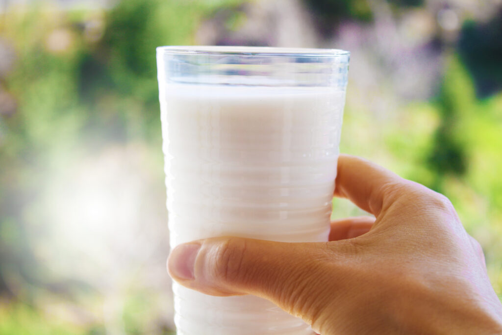 Drinking milk