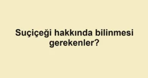 haber-gorseli-1790599229190