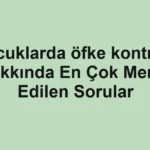 cocuklarda-ofke-kontrolu-hakkinda-en-cok-merak-edilen-sorular.webp